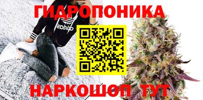 ECSTASY Моздок