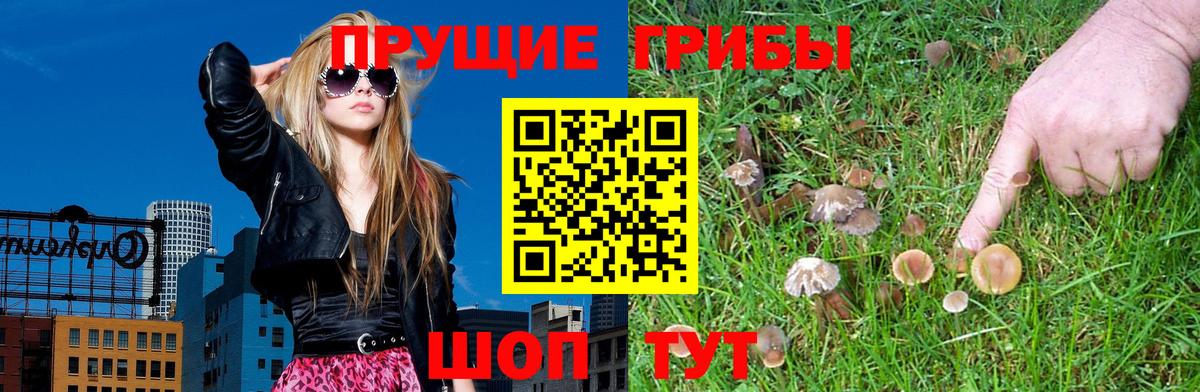 Дятьково  Галлюциногенные грибы прущие грибы  Псилоцибиновые грибы Magic Shrooms  Вход с VPN 