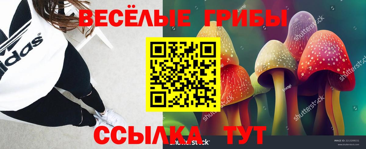 Псилоцибиновые грибы MAGIC MUSHROOMS Дятьково